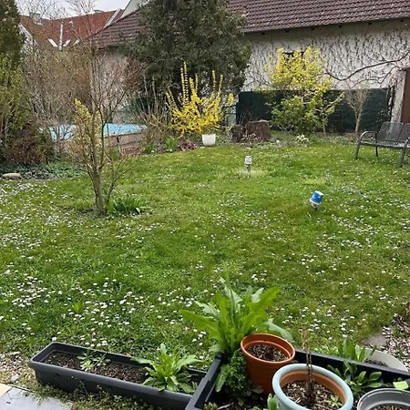 Ostseetraum Wolgast